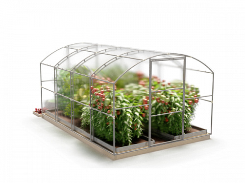 Теплица Сказка 100