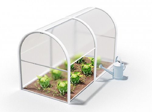 Парник Королевский