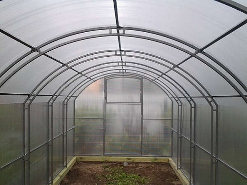 Теплица Сказка 100