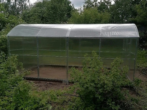 Теплица Сказка 100