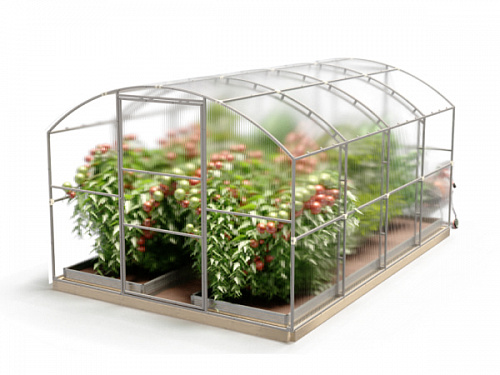Теплица Сказка 100