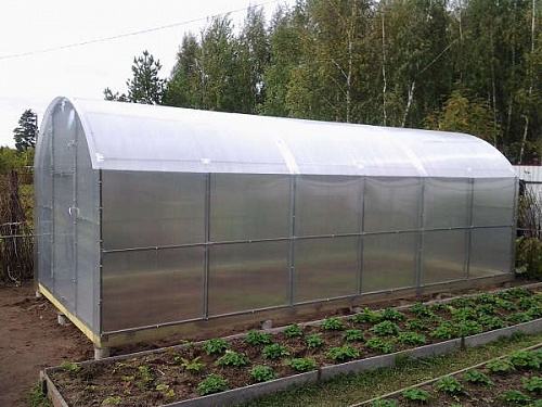 Теплица Сказка 100