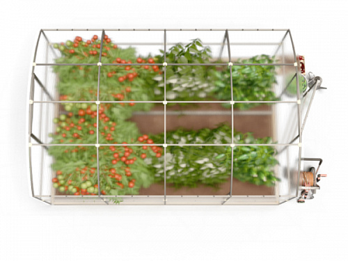 Теплица Сказка 100